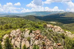 2891 Bird Point Dr, Cotopaxi, CO 81223 - Photo 14