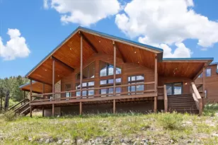 2891 Bird Point Dr, Cotopaxi, CO 81223 - Photo 2