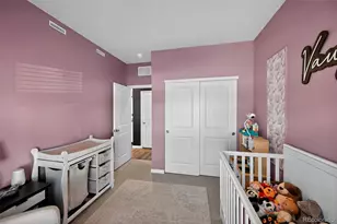 3042 Nectar St, Strasburg, CO 80136 - Photo 22