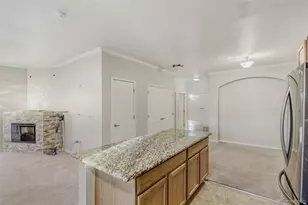 9569 Pearl Cir, Parker, CO 80134 - Photo 10