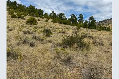 1054 Keepsake Loop, Westcliffe, CO 81252 - Photo 8