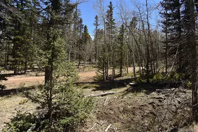 289 Timberline Drive, Guffey, CO 80820 - Photo 20