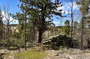 289 Timberline Dr, Guffey, CO 80820 - Photo 1