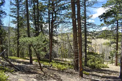 289 Timberline Drive, Guffey, CO 80820 - Photo 2