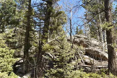 289 Timberline Drive, Guffey, CO 80820 - Photo 8