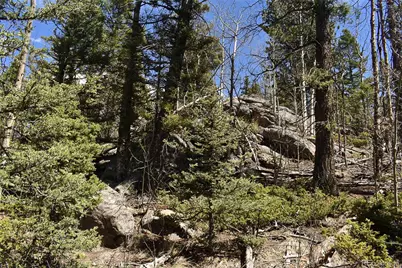 289 Timberline Drive, Guffey, CO 80820 - Photo 6