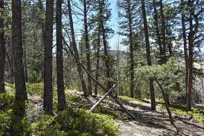 289 Timberline Drive, Guffey, CO 80820 - Photo 4