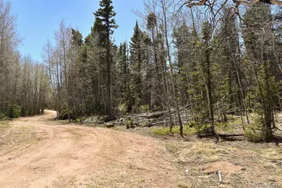 289 Timberline Drive, Guffey, CO 80820 - Photo 24