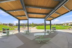 11355 Bella Vita Dr, Broomfield, CO 80020 - Photo 38
