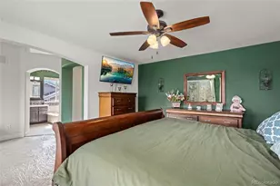 4526 Addenbrooke Loop, Castle Rock, CO 80109 - Photo 22