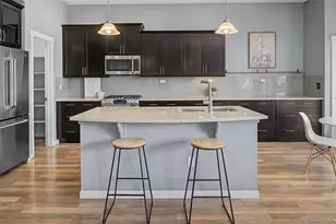2133 Primo Road, Highlands Ranch, CO 80129 - Photo 8