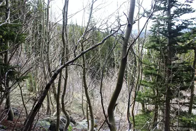 00 Mine Road, Idaho Springs, CO 80461 - Photo 18