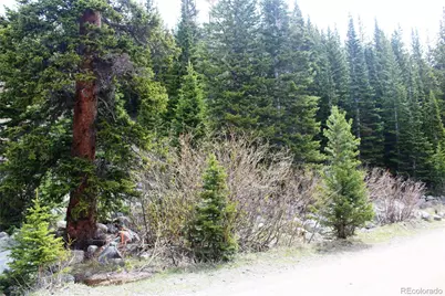 00 Mine Road, Idaho Springs, CO 80461 - Photo 4
