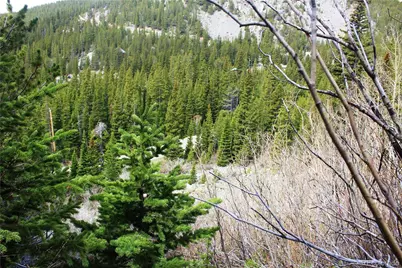 00 Mine Road, Idaho Springs, CO 80461 - Photo 16