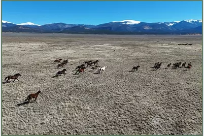 123 W Valley Drive, San Luis, CO 81152 - Photo 4