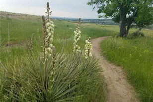 1547 Secrest Ct, Golden, CO 80401 - Photo 42