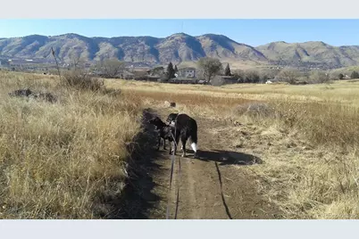 1547 Secrest Court, Golden, CO 80401 - Photo 44