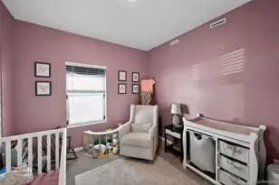 3042 Nectar St, Strasburg, CO 80136 - Photo 26