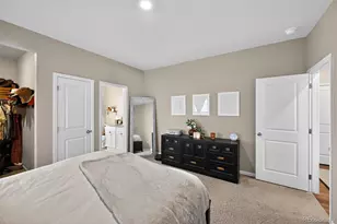 3042 Nectar St, Strasburg, CO 80136 - Photo 22