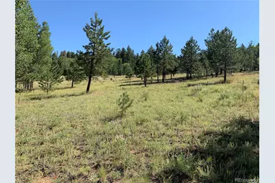 54 Oak Drive, Cotopaxi, CO 81223 - Photo 40