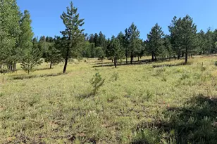 54 Oak Dr, Cotopaxi, CO 81223 - Photo 40