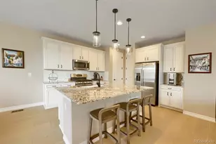 1033 Oleander St, Castle Rock, CO 80109 - Photo 10