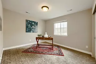 1033 Oleander St, Castle Rock, CO 80109 - Photo 20