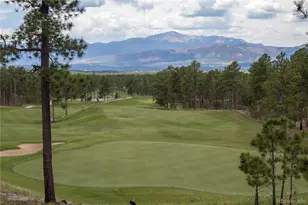12970 Cupcake Heights, Colorado Springs, CO 80921 - Photo 34