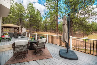 1000 Cochetopa Drive, Larkspur, CO 80118 - Photo 42