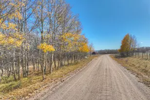 246 Mount Guyot Cir, Jefferson, CO 80456 - Photo 40