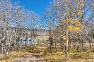 246 Mount Guyot Cir, Jefferson, CO 80456 - Photo 38