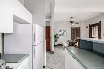 107 N Pearl Street #B, Denver, CO 80203 - Photo 16