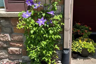 22960 E Roxbury Dr, Aurora, CO 80016 - Photo 40