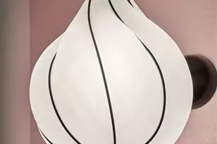 1294 Braewood Ave, Highlands Ranch, CO 80129 - Photo 16