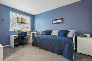 1294 Braewood Ave, Highlands Ranch, CO 80129 - Photo 20