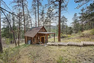 145 Bailey Dr, Bailey, CO 80421 - Photo 30