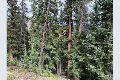 0605 Cr 805, Breckenridge, CO 80424 - Photo 8