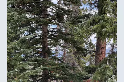 0605 Cr 805, Breckenridge, CO 80424 - Photo 10