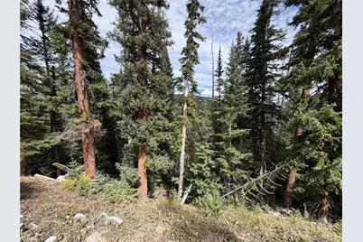 0605 Cr 805, Breckenridge, CO 80424 - Photo 6