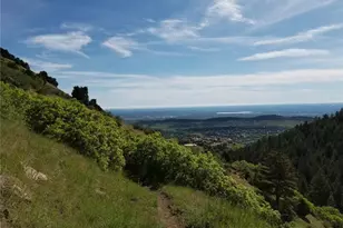 6170 Falcon Ln, Morrison, CO 80465 - Photo 24