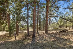 349 Rhyolite Ln, Florissant, CO 80816 - Photo 1