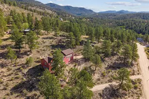 349 W Cline Dr, Shawnee, CO 80475 - Photo 38