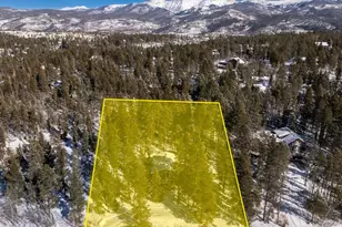 382 County Rd 837, Fraser, CO 80442 - Photo 44