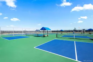 14075 Scarlet Sage St, Parker, CO 80134 - Photo 44