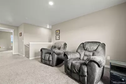 14075 Scarlet Sage Street, Parker, CO 80134 - Photo 22