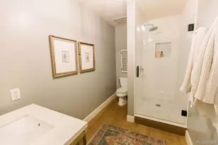 925 N Lincoln Street, Denver, CO 80203 - Photo 36
