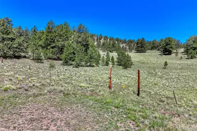 189 Saddle Lane, Lake George, CO 80827 - Photo 44