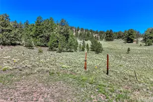 189 Saddle Ln, Lake George, CO 80827 - Photo 44