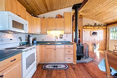 189 Saddle Lane, Lake George, CO 80827 - Photo 14