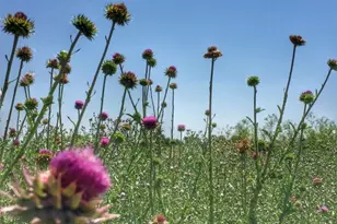 10115 W 25th Ave, Lakewood, CO 80215 - Photo 18